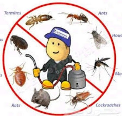 شركة مكافحة حشرات برابغ 0501533146 رش مبيدات ابادة فورية للحشرات الزاحفة والطائرة فى رابغ