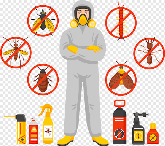 شركة مكافحة حشرات بالليث 0501533146 رش مبيدات خصم 30% ابادة فورية للحشرات
