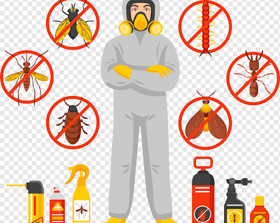 شركة مكافحة حشرات بخليص 0501533146 رش مبيدات ابادة فورية للحشرات الزاحفة والطائرة فى خليص
