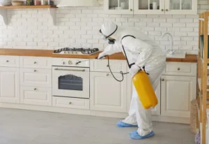 شركة مكافحة حشرات بجدة