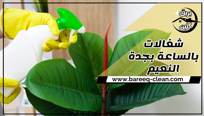 شغالات بالساعة بجدة النعيم