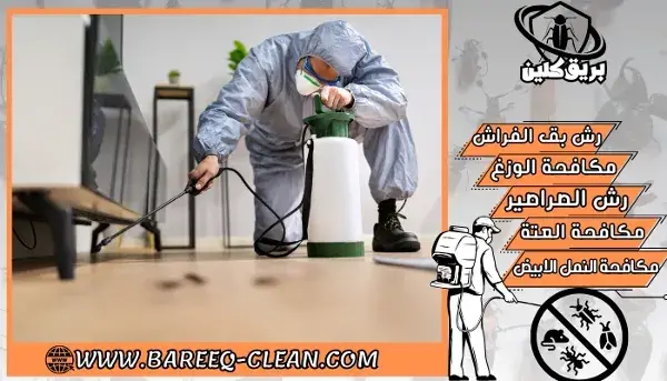 شركة مكافحة حشرات و رش مبيدات ببيشة