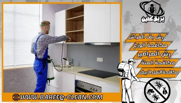 شركة مكافحة حشرات و رش مبيدات ببيشة