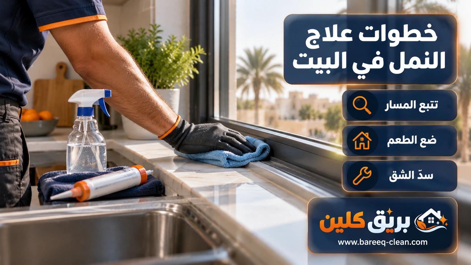 علاج النمل في البيت: مسح مسار النمل وسد الشق