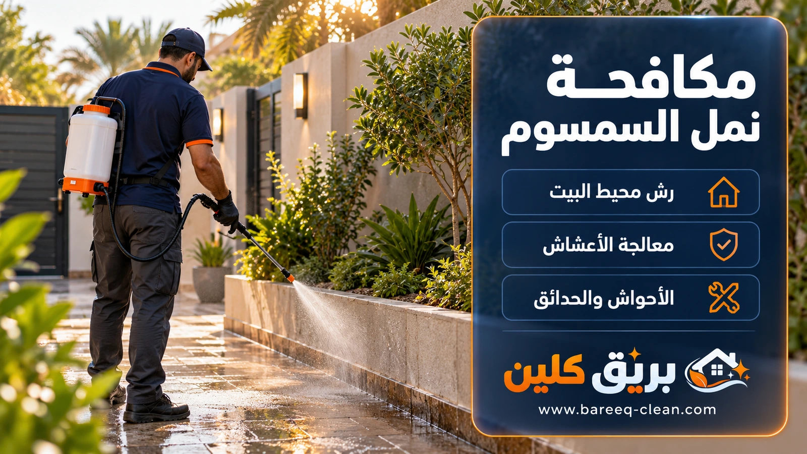 نمل السمسوم في الأحواش: رش محيط البيت