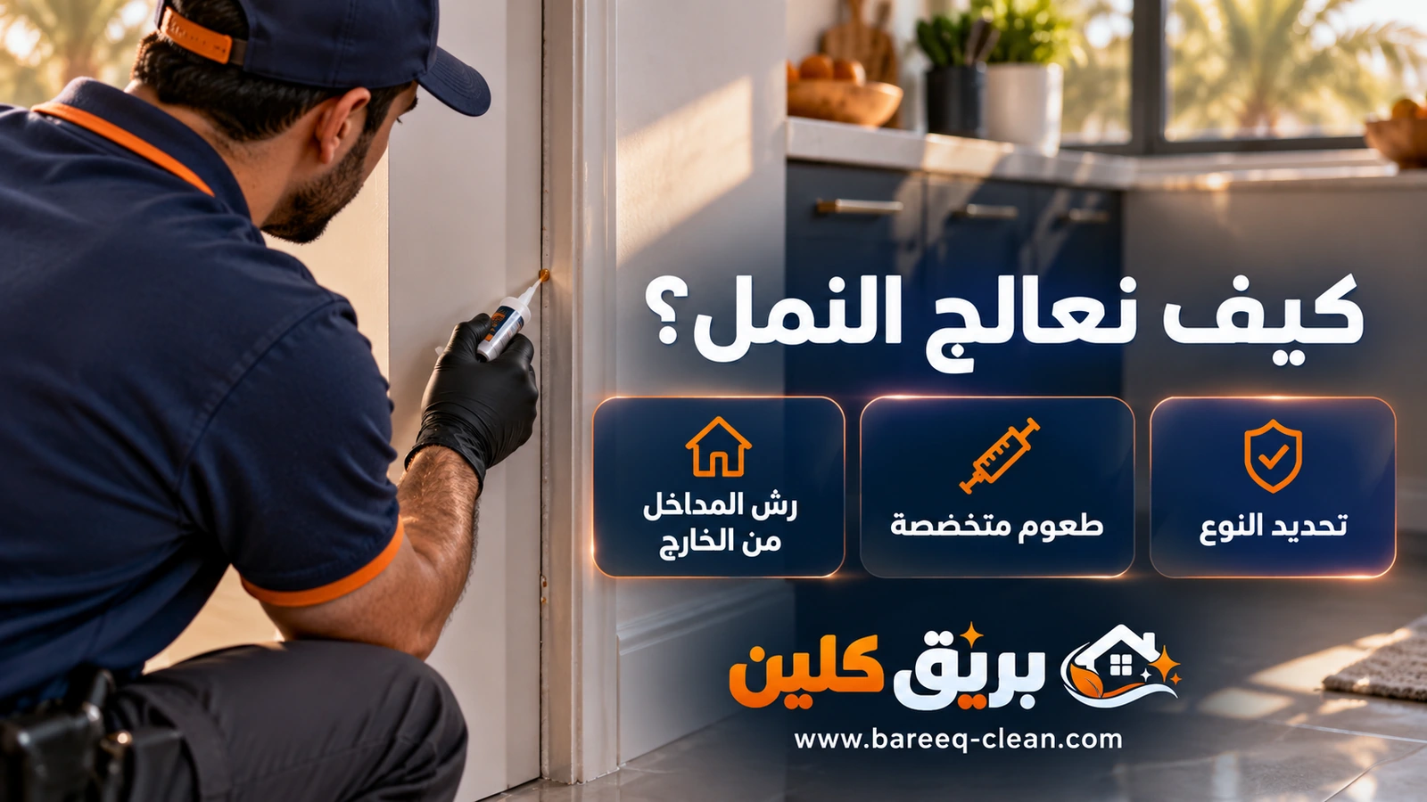 مكافحة النمل في جدة: وضع الطعوم عند مدخل النمل