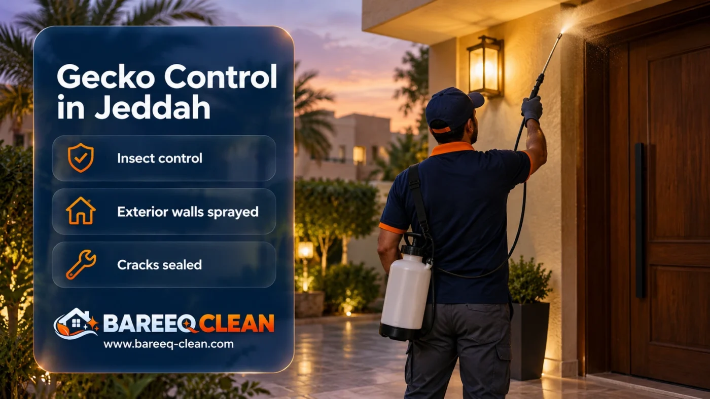 Gecko Control in Jeddah | Getting Rid of Geckos for Good