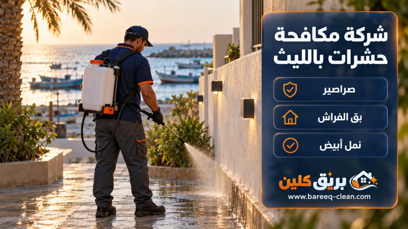 شركة مكافحة حشرات بالليث | رش مبيدات وصراصير وبق