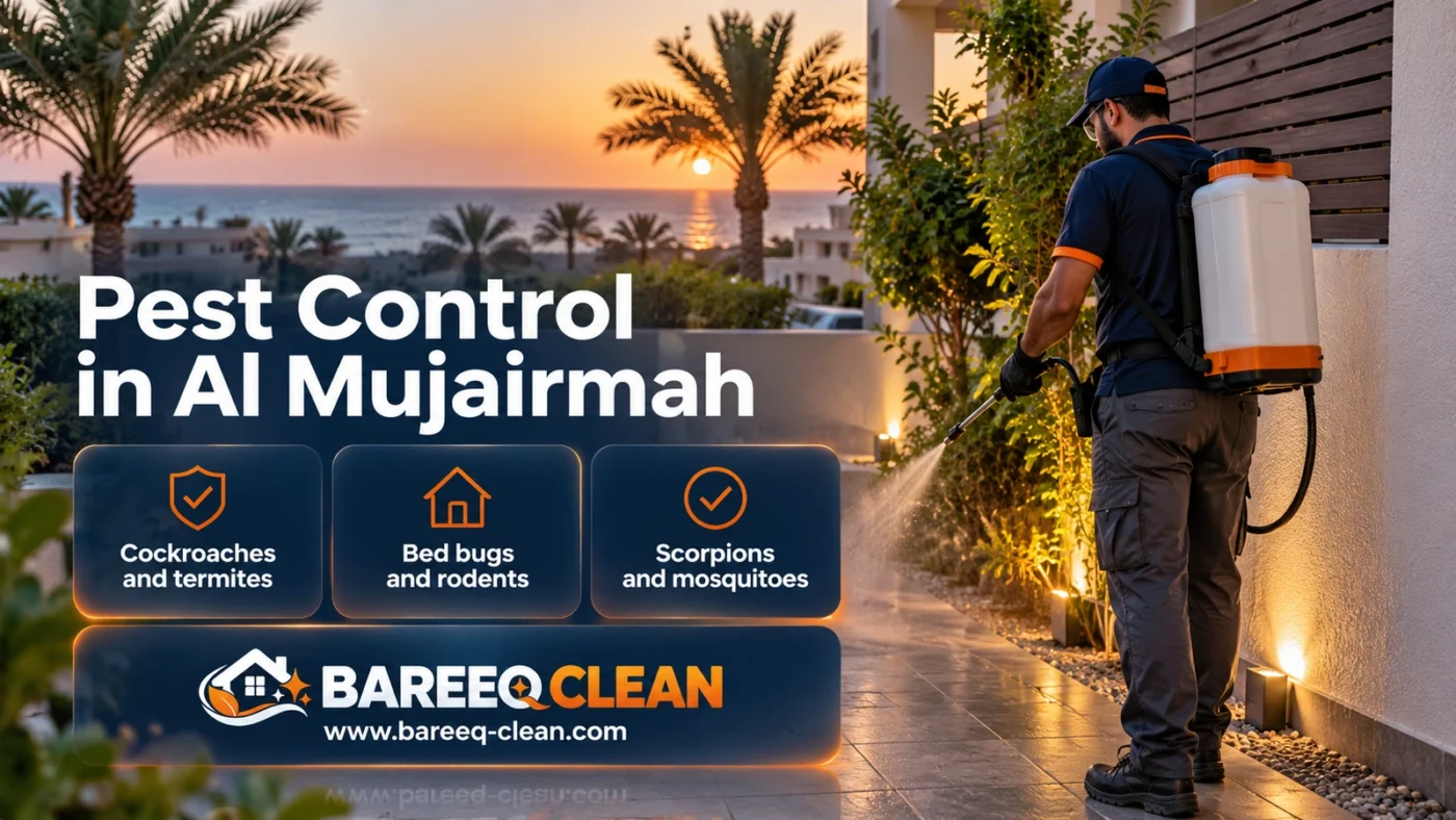 Pest Control in Al Mujairmah | Spraying, Cockroaches, Termites