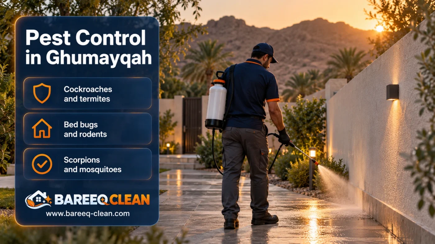 Pest Control in Ghumayqah | Spraying, Cockroaches, Termites