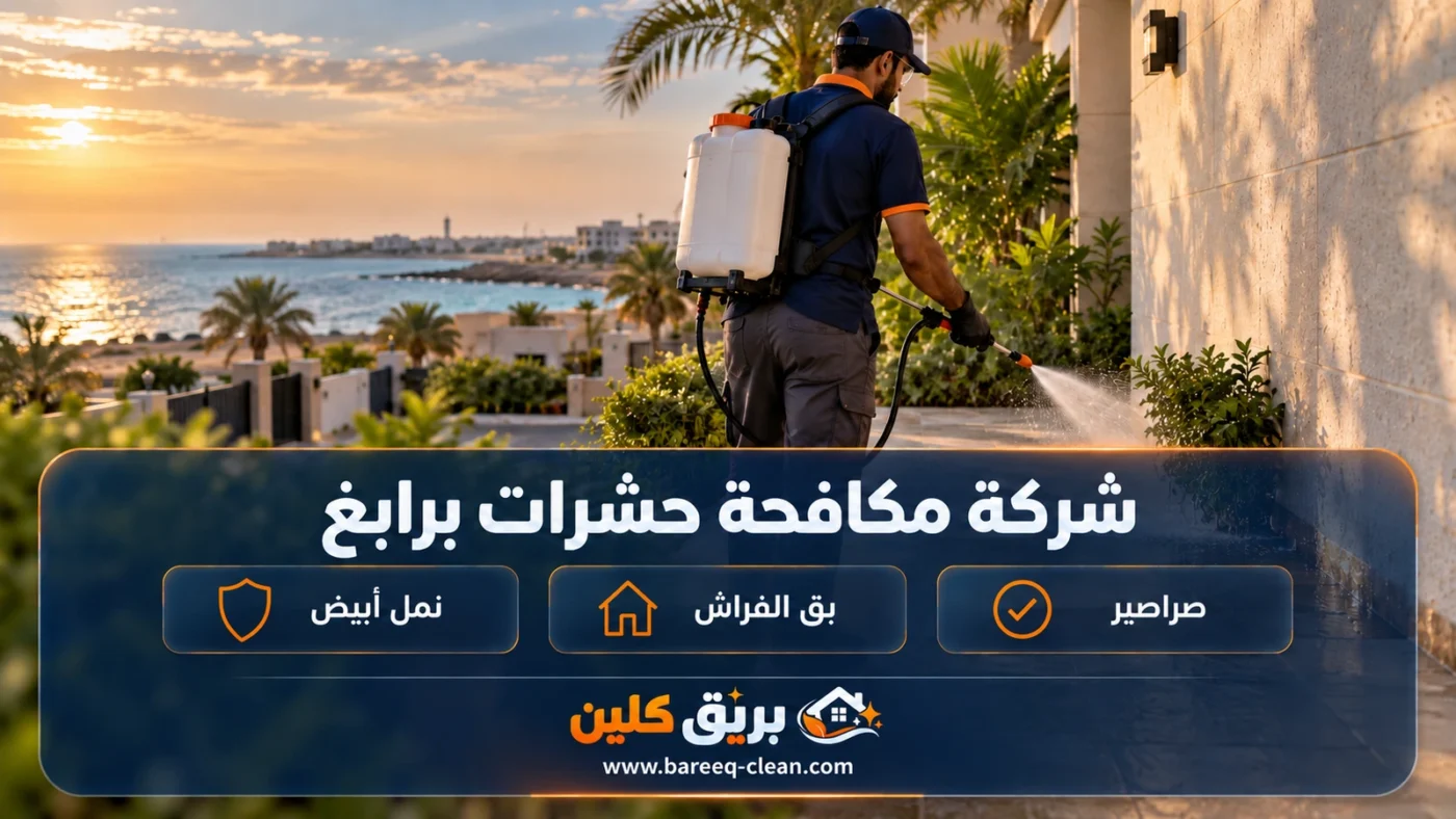 شركة مكافحة حشرات برابغ | رش مبيدات وصراصير وبق
