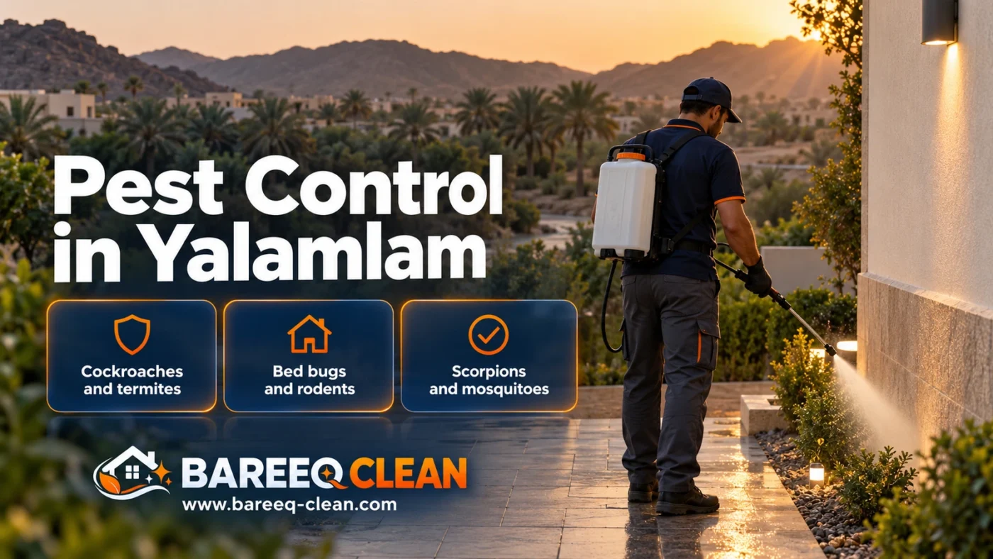 Pest Control in Yalamlam | Spraying, Cockroaches, Termites