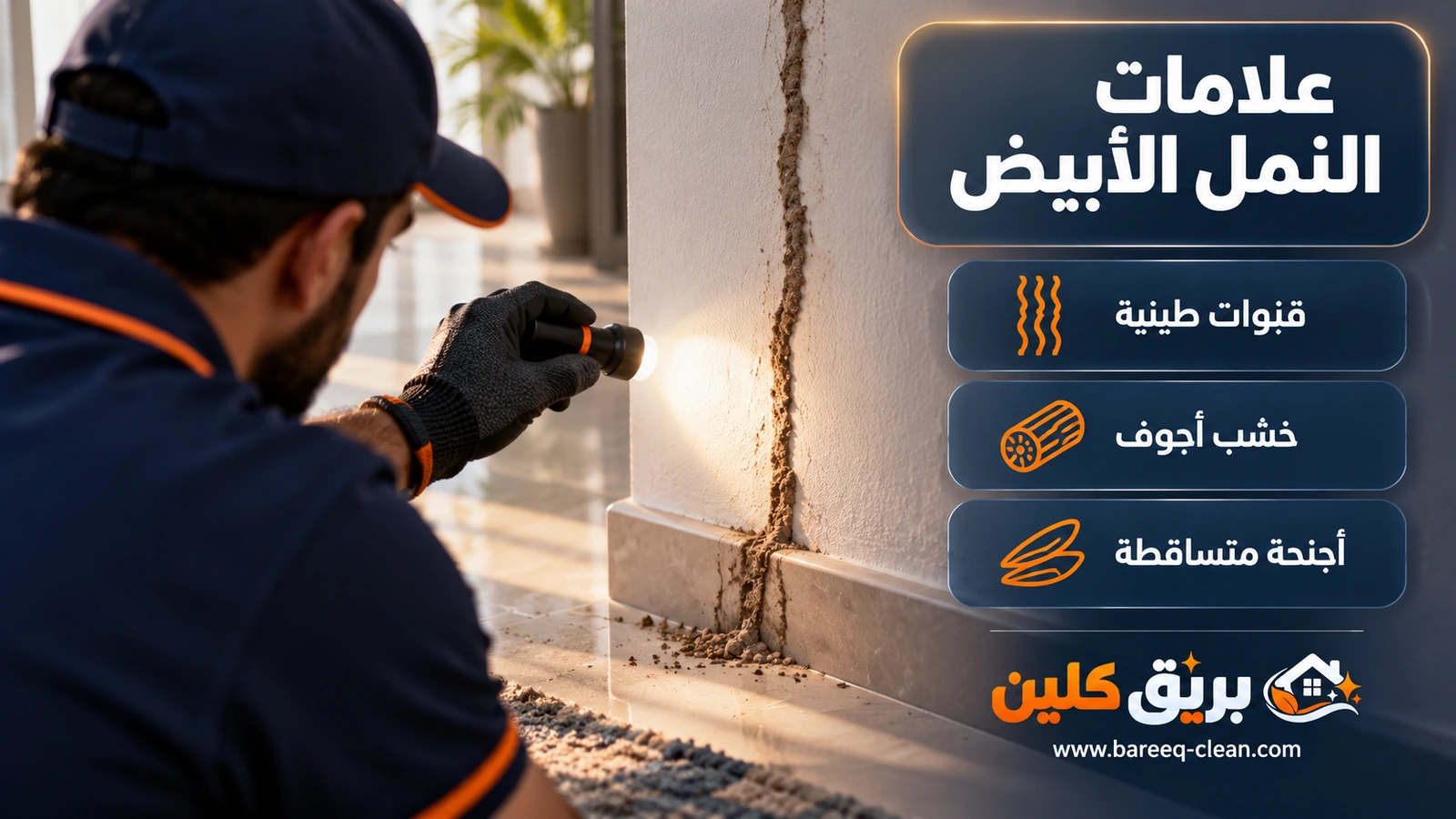 علامات النمل الأبيض: قنوات طينية على قاعدة الجدار